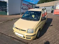 Gebraucht Fiat Panda Dynamic 60 PS (44 kW) 2010 Gelb Kleinwagen