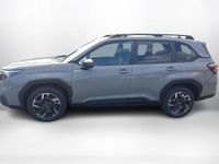 Nouvelle Subaru Forester Active 136 ch (100 kW) 2026 Gris SUV