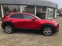 Gebraucht Mazda CX-30 Selection 122 PS (89 kW) 2021 Rot SUV