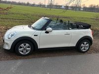 Gebraucht Mini One Cabriolet Chili 102 PS (75 kW) 2017 Beige Cabrio