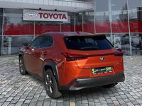 Gebraucht Lexus UX 250h 184 PS (135 kW) 2022 Blazing carnelian SUV