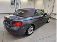 gebraucht BMW 220 i Cabrio Aut/Navi/Ad.Led/Stop&Go/Unfallfrei