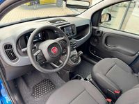 Neu Fiat Panda 69 PS (50 kW) 2025 Blau Kleinwagen