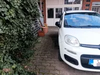 Gebraucht Fiat Panda 69 PS (50 kW) 2015 Weiß Kleinwagen