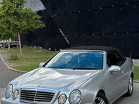 gebraucht Mercedes CLK200 Kompressor W208 Cabrio AMG TOP