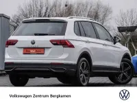 Gebraucht VW Tiguan Active 150 PS (110 kW) 2022 Weiß SUV