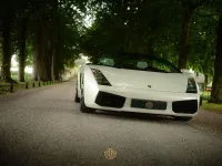 Gebraucht Lamborghini Gallardo 519 PS (381 kW) 2008 Weiß Cabrio