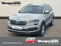 Gebraucht Skoda Karoq Style 116 PS (85 kW) 2019 Grau SUV