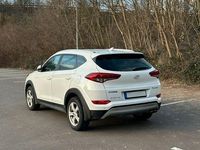 Gebraucht Hyundai Tucson 177 PS (130 kW) 2017 Weiß SUV