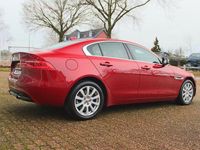 Używany Jaguar XE Prestige 250 KM (183 kW) 2017 Czerwony Sedan/Limuzyna