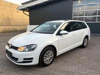 Gebraucht VW Golf VII Trendline 110 PS (80 kW) 2015 Weiß Kombi