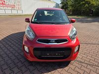 Gebraucht Kia Picanto 67 PS (49 kW) 2017 Rot Kleinwagen