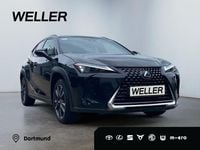 Gebraucht Lexus UX 184 PS (135 kW) 2024 Andere SUV