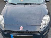 Gebraucht Fiat Punto 2014 Blau Kleinwagen