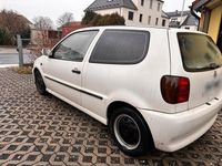 Gebraucht VW Polo 55 PS (40 kW) 1995 Weiß Kleinwagen