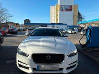 Używany Jaguar XE 180 KM (132 kW) 2016 Biały Sedan/Limuzyna