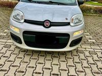 Gebraucht Fiat Panda Trekking 95 PS (69 kW) 2016 Kombi