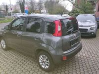 gebraucht Fiat Panda More,Klima,