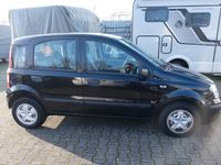 gebraucht Fiat Panda 1.2 8V Dynamic 05.2025 Tüv 2Hand