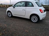 Gebraucht Fiat 500 69 PS (50 kW) 2016 Weiß Kleinwagen