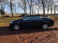 Gebraucht Ford Focus Cabriolet Trend 101 PS (74 kW) 2008 Schwarz Cabrio