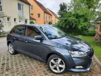 Gebraucht Skoda Fabia Cool Plus 75 PS (55 kW) 2019 Grau Kleinwagen