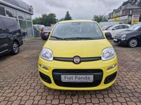 Neu Fiat Panda Icon 69 PS (50 kW) 2025 Positanogelb Kleinwagen