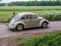 Gebraucht VW Käfer 34 PS (25 kW) 1964 Weiß Limousine