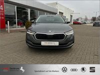 Gebraucht Skoda Octavia Style 110 PS (80 kW) 2023 Graphite grey metallic Limousine