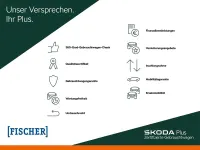 Gebraucht Skoda Octavia 150 PS (110 kW) 2021 Weiss Kombi