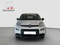 Gebraucht Fiat Panda 69 PS (50 kW) 2025 Weiß Kleinwagen
