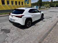 Gebraucht Lexus UX 250h Executive Line 184 PS (135 kW) 2022 Weiß SUV