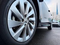 Gebraucht Skoda Octavia Selection 150 PS (110 kW) 2024 Blackmagic perleffekt Kombi