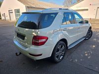 Gebraucht Mercedes ML350 231 PS (169 kW) 2010 Weiß SUV