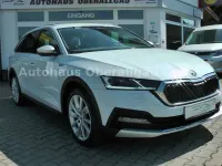 Gebraucht Skoda Octavia Scout 4x4 150 PS (110 kW) 2021 Weiß Kombi