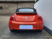 gebraucht VW Beetle 1.2 TSI BMT CLUB Cabriolet CLUB