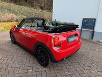 Gebraucht Mini Cooper 136 PS (100 kW) 2020 Rot Kleinwagen