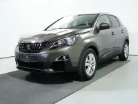 Gebraucht Peugeot 3008 Active 131 PS (96 kW) 2020 Grau (metallic) SUV