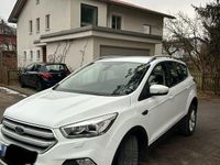 Gebraucht Ford Kuga Titanium 150 PS (110 kW) 2019 Weiß SUV