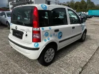 Gebraucht Fiat Panda 69 PS (50 kW) 2011 Weiß Kleinwagen