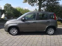 Occasion Fiat Panda 69 ch (50 kW) 2024 Gris Citadine