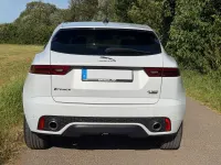 Gebraucht Jaguar E-Pace Chequered Flag 179 PS (131 kW) 2020 Weiß SUV
