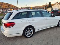 Gebraucht Mercedes E200 136 PS (100 kW) 2014 Weiß Kombi