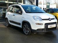 Gebraucht Fiat Panda City Life 69 PS (50 kW) 2022 Weiß Limousine