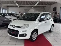 Gebraucht Fiat Panda Easy 69 PS (50 kW) 2017 Weiß Kleinwagen