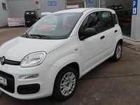Gebraucht Fiat Panda Easy 69 PS (50 kW) 2020 Weiß Kleinwagen