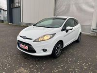 Gebraucht Ford Fiesta Trend 60 PS (44 kW) 2010 Weiß Kleinwagen