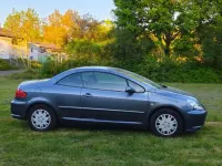 Gebraucht Peugeot 307 CC 140 PS (102 kW) 2005 Grau Cabrio