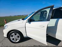 Gebraucht Mercedes ML350 259 PS (190 kW) 2013 Weiß SUV