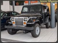 Gebraucht Jeep Wrangler 121 PS (88 kW) 1996 Schwarz SUV